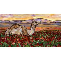Camel in a Field of Poppies