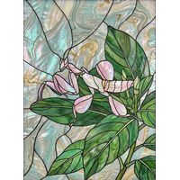 Orchid Mantis on Lush Greenery