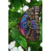 Iridescent Butterfly on Lush Foliage