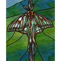 Luna Moth in Iridescent Greens