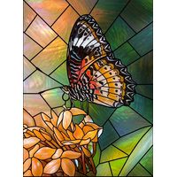 Butterfly on Orange Blooms