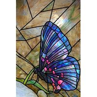 Iridescent Butterfly at Rest