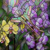Lunar Moth and Orchids