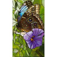 Owl Butterfly on Morning Glory