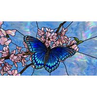 Blue Butterfly on Cherry Blossoms