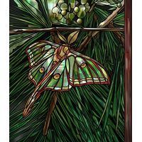 Iridescent Luna Moth on Pine Branch