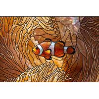 Clownfish in Amber Anemone