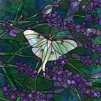 Luna Moth on Lavender