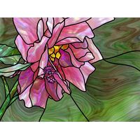 Mantis on Pink Peony