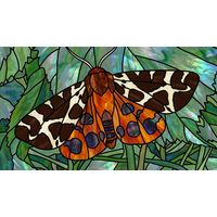 Garden Tiger Moth