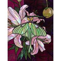 Luna Moth on Pink Lilies