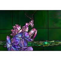 Orchid Mantis in Luminous Violet