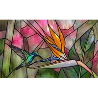 Hummingbird and Bird of Paradise