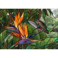 Hummingbird with Bird of Paradise