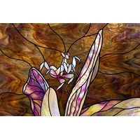 Orchid Mantis Among Tropical Petals