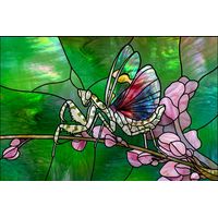Mantis on Spring Blossoms