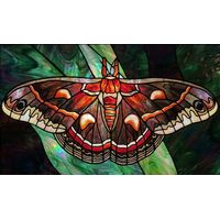 Cecropia Moth in Autumnal Tones