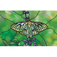 Luna Moth on Flowering Stem