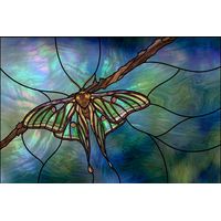 Lunar Moth in Azure and Emerald