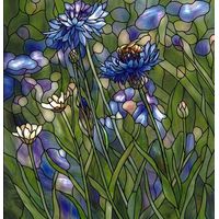 Cornflowers and Busy Bee