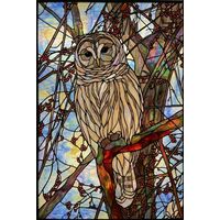 Wise Owl Perched in Berry Branches