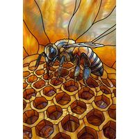 Honeybee on Golden Honeycomb