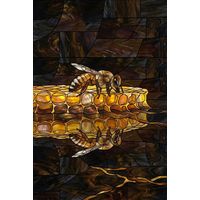 Honeybee on Amber Honeycomb
