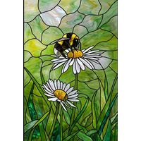 Bumblebee on Daisy Pair