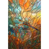 Dragonfly in Golden Light