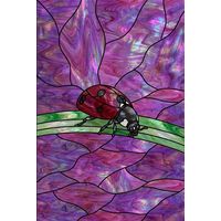 Ladybug on a Blade of Grass