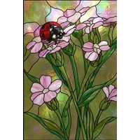 Ladybug on Pale Pink Blossoms