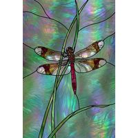 Iridescent Dragonfly on Reeds