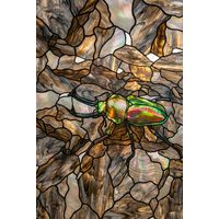 Iridescent Stag Beetle