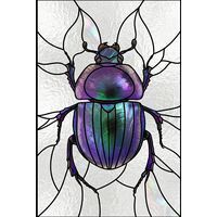 Iridescent Scarab Beetle