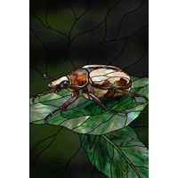 Iridescent Beetle on Lush Leaves