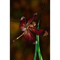 Autumn Dragonfly on Reed