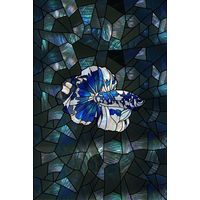 Blue and White Betta Fish in Iridescent Depths