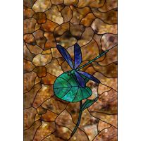 Dragonfly on Lily Pad