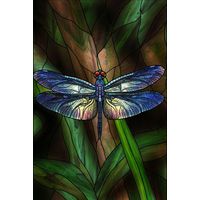 Iridescent Dragonfly in Emerald Reeds