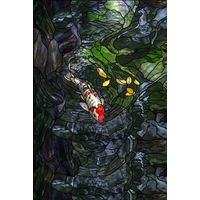 Koi Swimming in Dark Waters