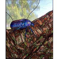Iridescent Jewel Beetle on Tree Bark