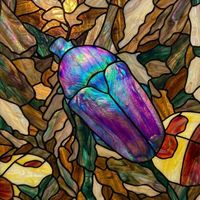 Iridescent Jewel Beetle in Nature
