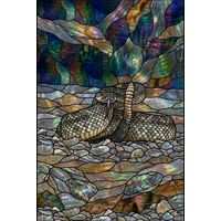 Rattlesnake in the Desert