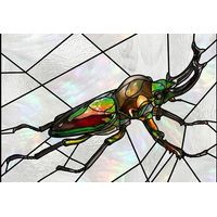 Iridescent Stag Beetle
