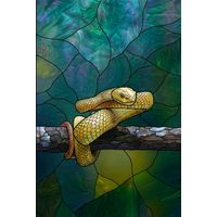 Golden Viper Resting on a Branch
