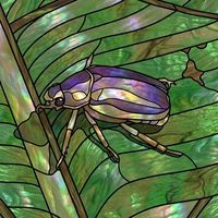 Iridescent Beetle on Fern Leaf