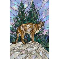 Mountain Lion on a Rocky Ridge