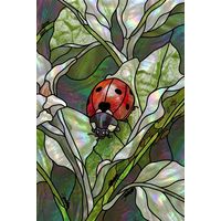 Ladybug in the Garden