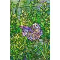 Betta Fish in Verdant Waters