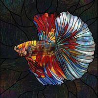 Betta Fish in Iridescent Hues